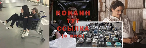 mdpv Алзамай