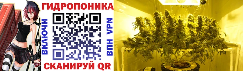 Марихуана индика Ставрополь